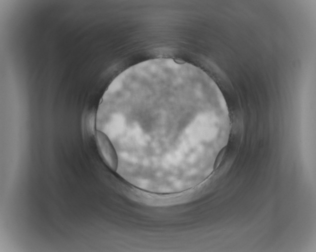 X0000111130047200908111047