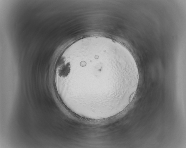 X0000111130049200908111047