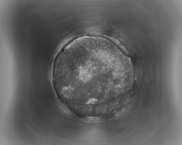 X0000111130052200908111047
