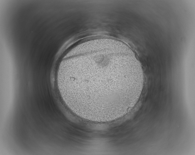 X0000111130053200908111047