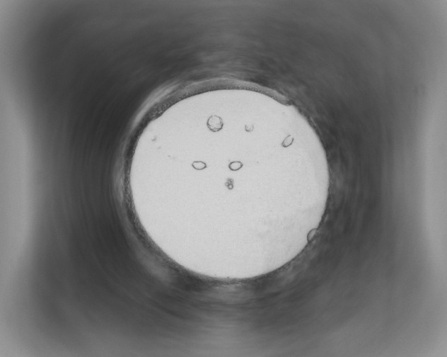 X0000111130054200908111047