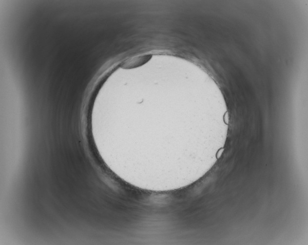 X0000111130055200908111047