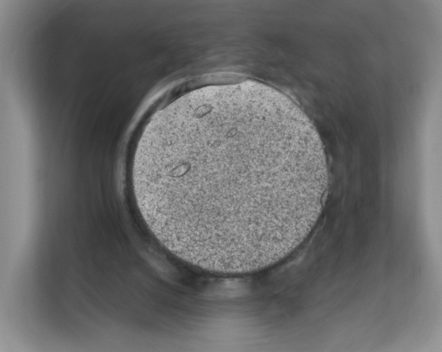X0000111130056200908111047