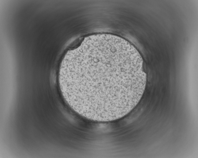 X0000111130060200908111047