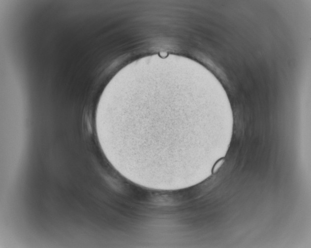 X0000111130062200908111047