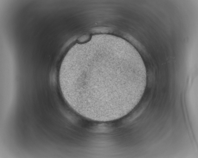 X0000111130064200908111047