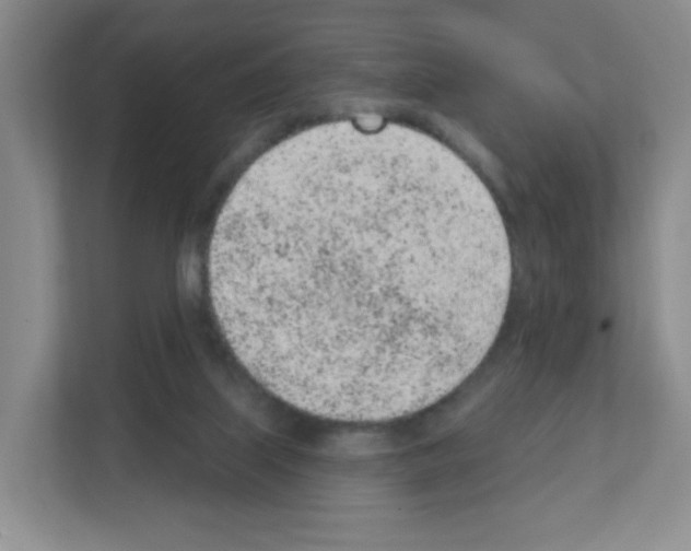 X0000111130067200908111047