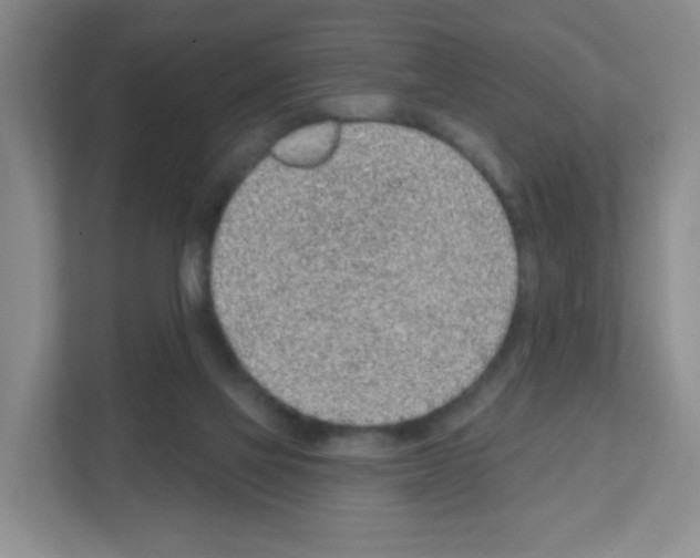 X0000111130069200908111047