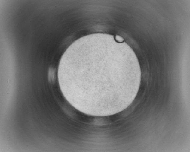 X0000111130070200908111047