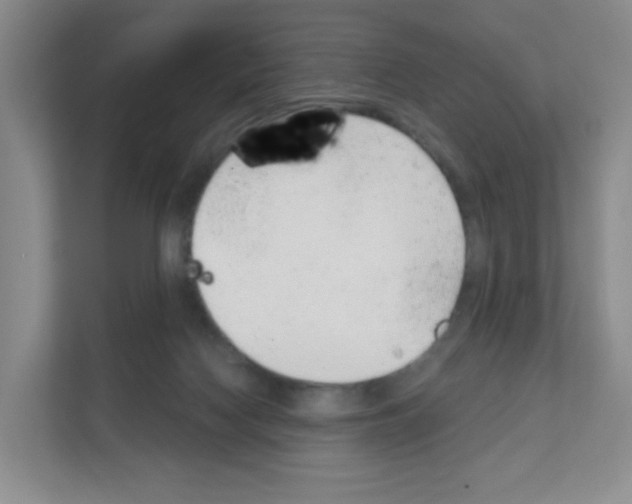 X0000111130074200908111047
