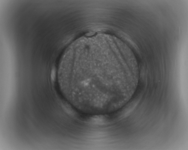 X0000111130076200908111047
