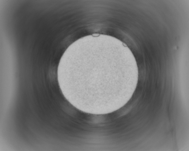 X0000111130085200908111047
