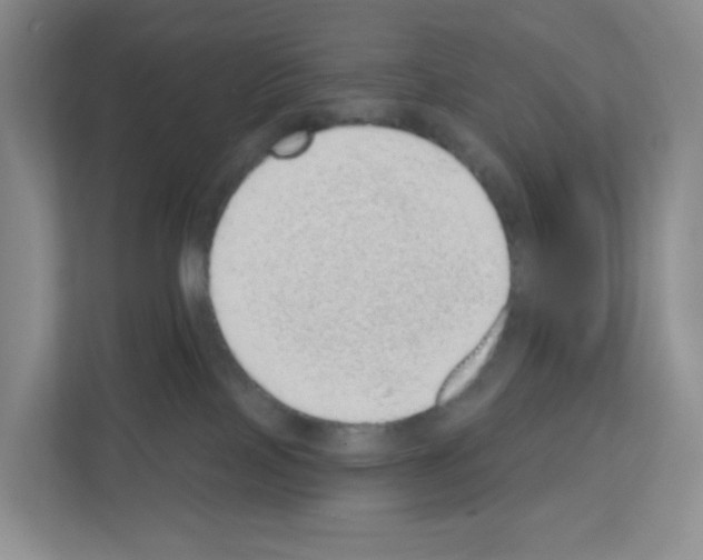 X0000111130089200908111047