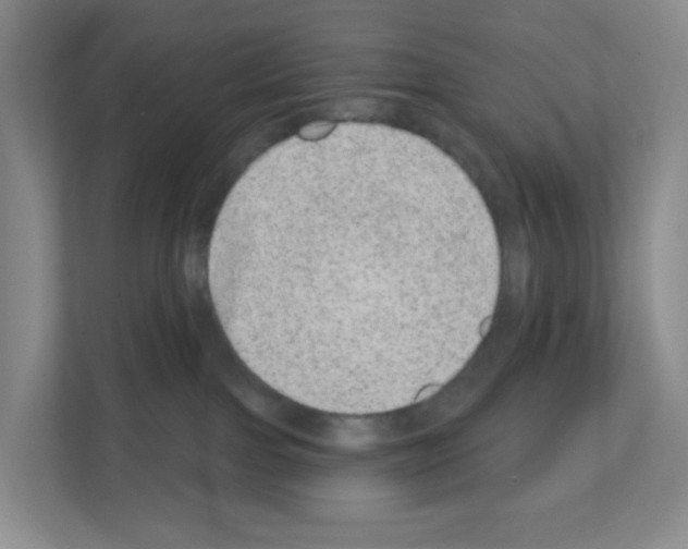 X0000111130091200908111047