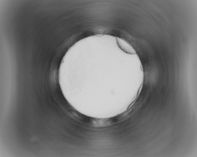X0000111130093200908111047