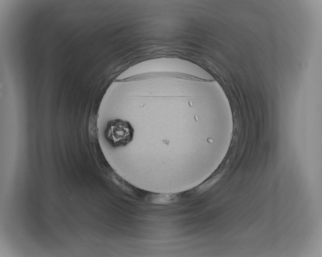 X0000111130096200908111047