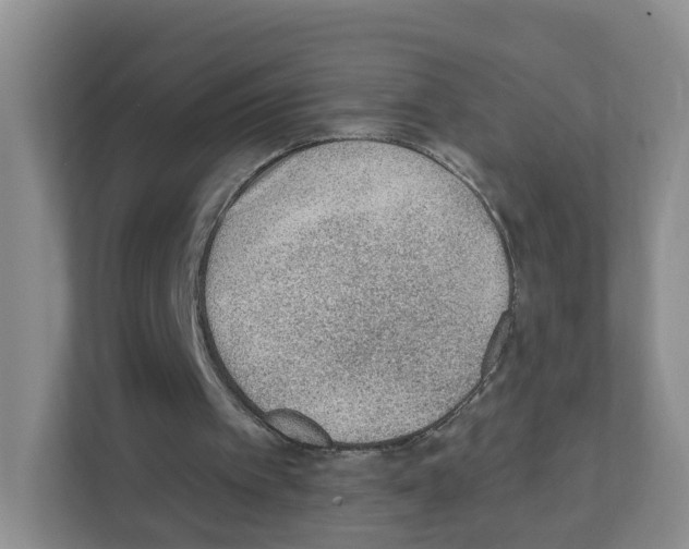 X0000111130097200908111047