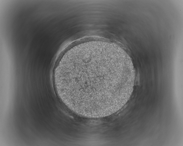 X0000111130099200908111047