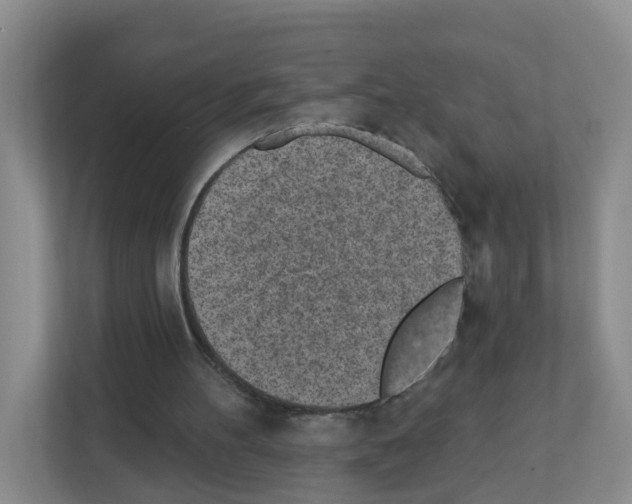 X0000111130100200908111047