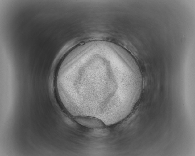 X0000111130101200908111047