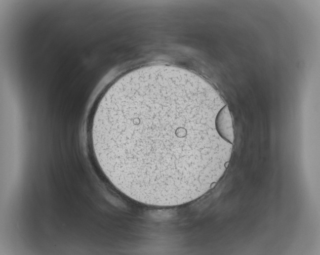 X0000111130102200908111047