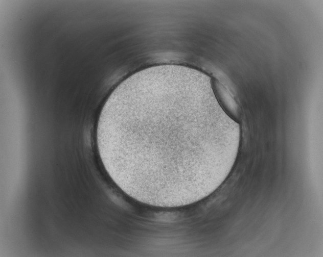 X0000111130105200908111047