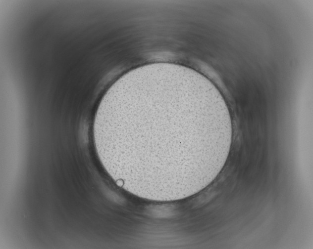X0000111130106200908111047