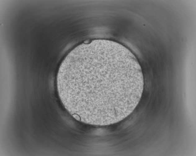 X0000111130111200908111047