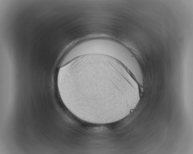 X0000111130112200908111047