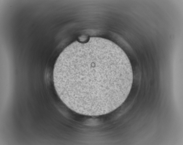 X0000111130119200908111047