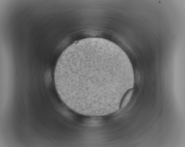 X0000111130128200908111046