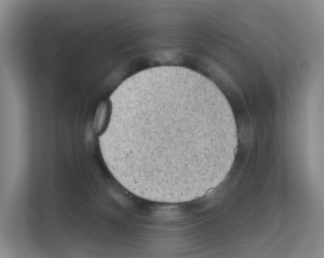 X0000111130132200908111046