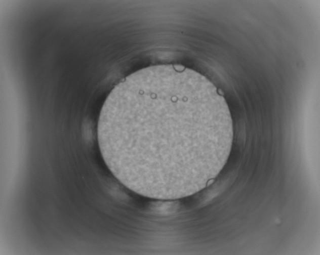 X0000111130135200908111046