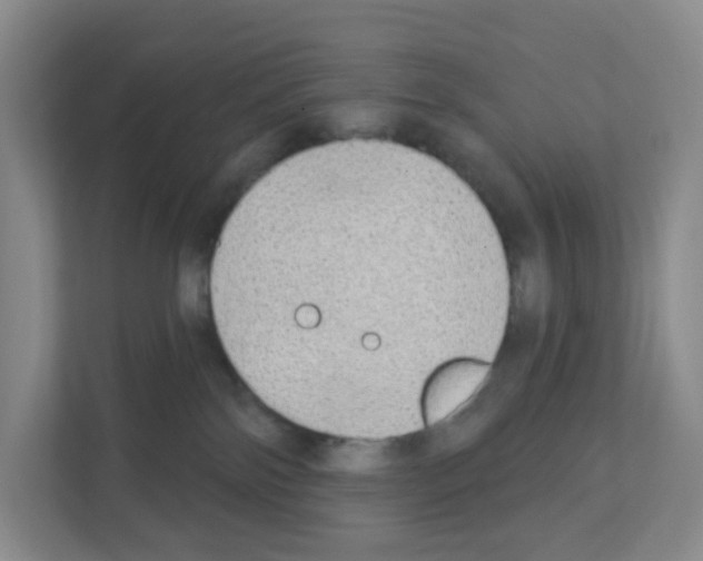 X0000111130138200908111046