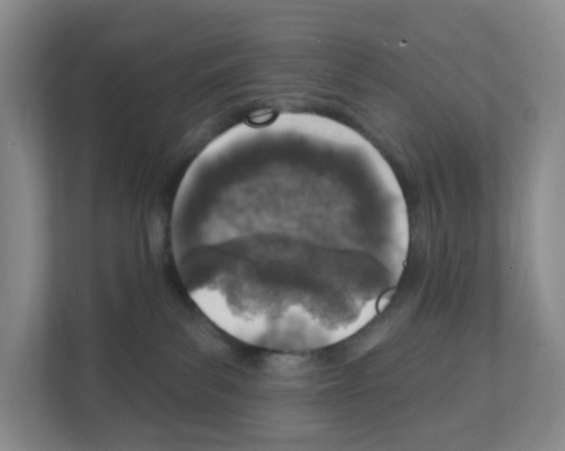 X0000111130139200908111046