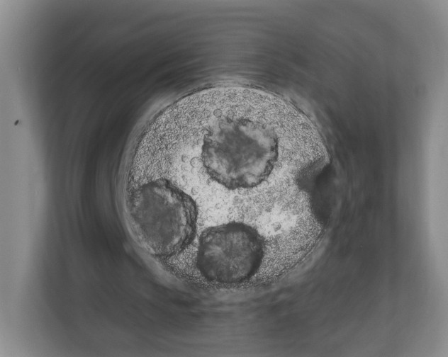 X0000111130145200908111046