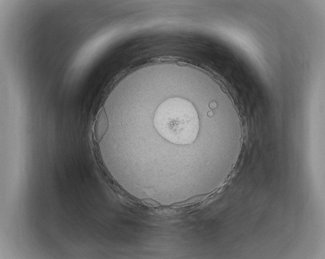 X0000111130146200908111046