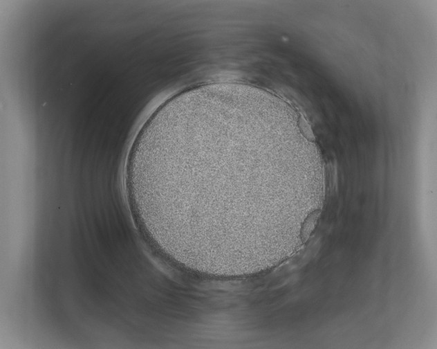 X0000111130147200908111046
