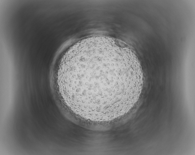X0000111130149200908111046