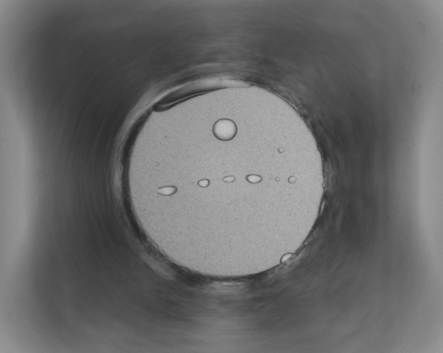X0000111130150200908111046