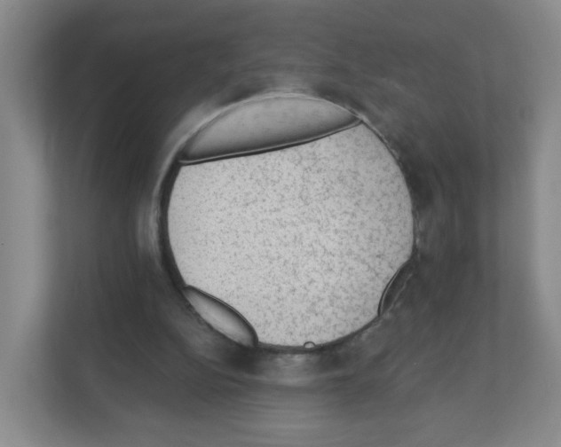 X0000111130152200908111046