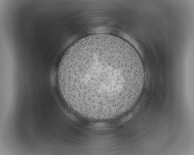 X0000111130153200908111046