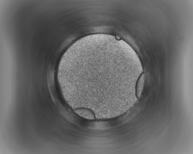 X0000111130154200908111046