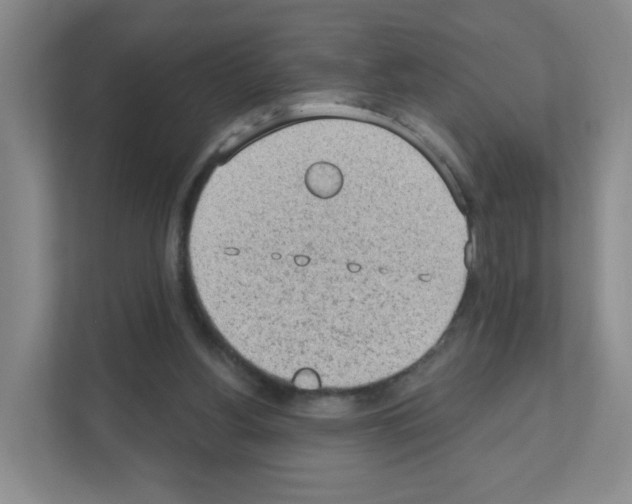 X0000111130156200908111046