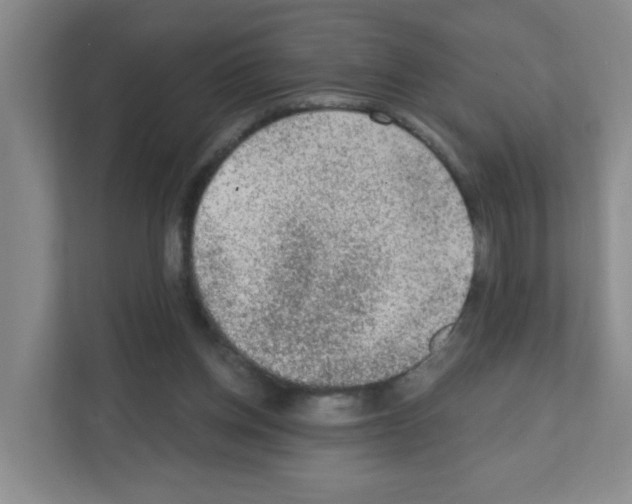 X0000111130158200908111046