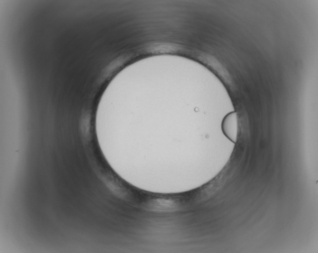 X0000111130159200908111046