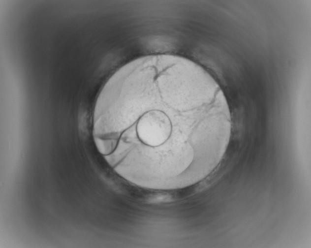 X0000111130162200908111046