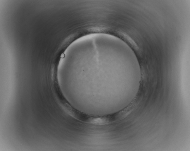 X0000111130163200908111046