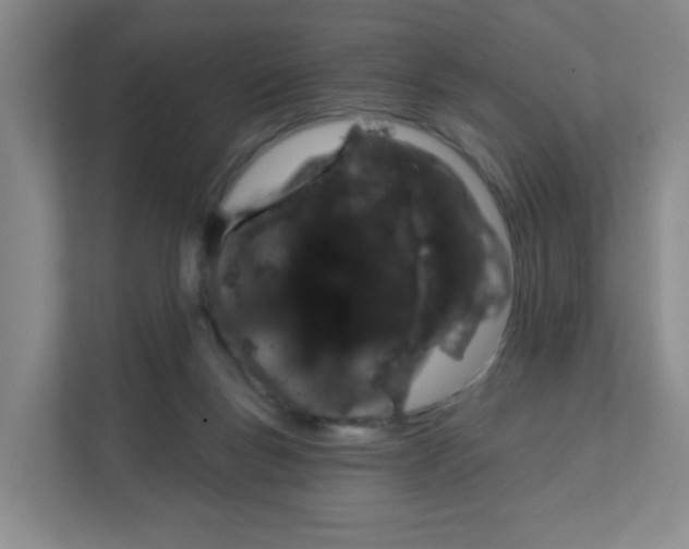 X0000111130167200908111046