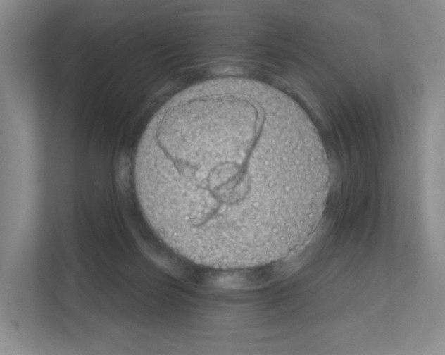 X0000111130171200908111046